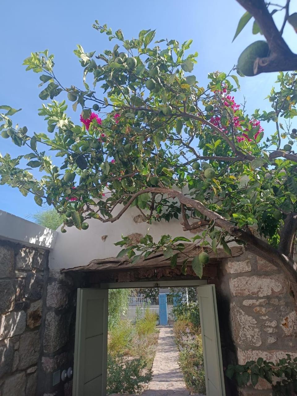 הוילה סקאלה Latmos 1860 מראה חיצוני תמונה